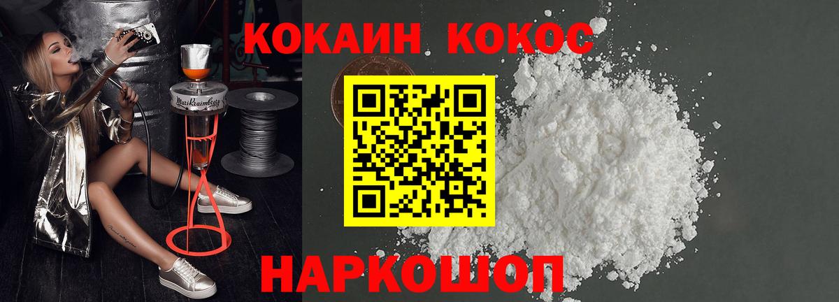A PVP Выборг