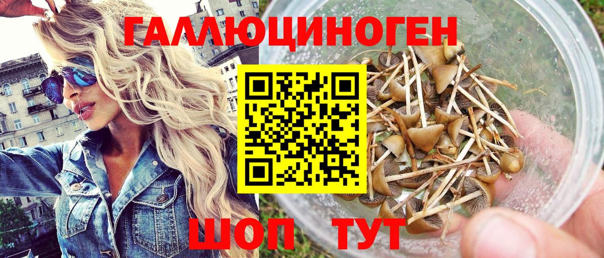 Выборг  Галлюциногенные грибы мухоморы  Вход с VPN 