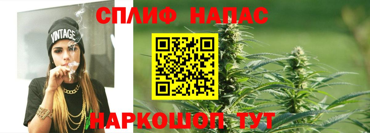 Конопля сатива Выборг